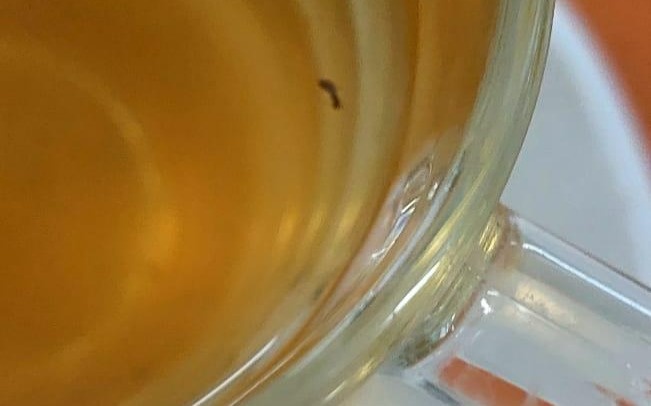 Петропавлдағы мектепте оқушыларға берілген тамақтан жәндіктер табылды Петропавлдағы мектепте оқушыларға берілген тамақтан жәндіктер табылды