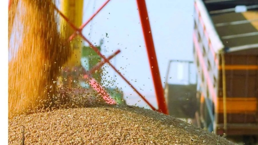Kazakhstan’s grain transportation grows by 15%