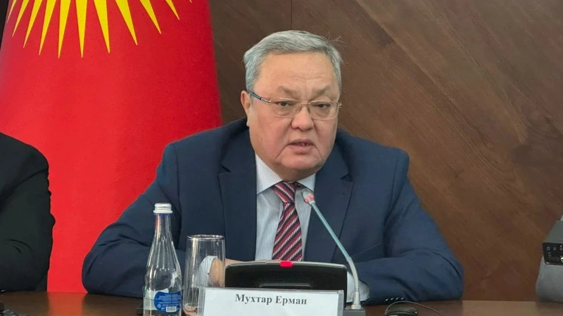 Deputy head of Kazakhstan's CEC praises organization of elections in Kyrgyzstan