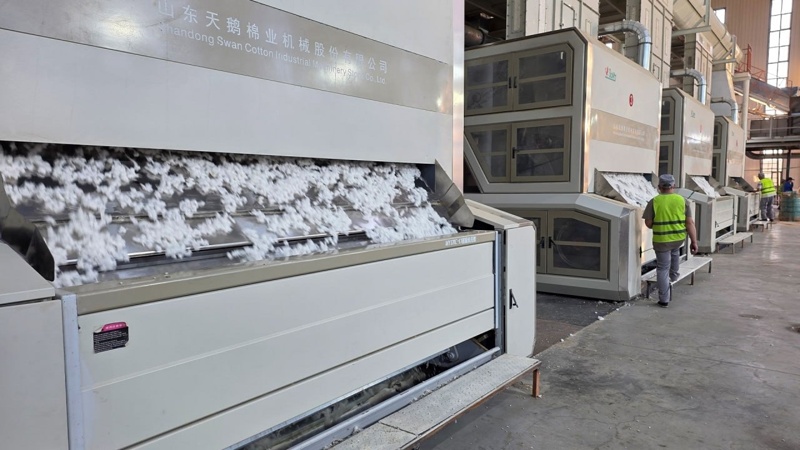 Крупнейший в&nbsp;Центральной Азии хлопководческий комплекс построят в&nbsp;Туркестанской области