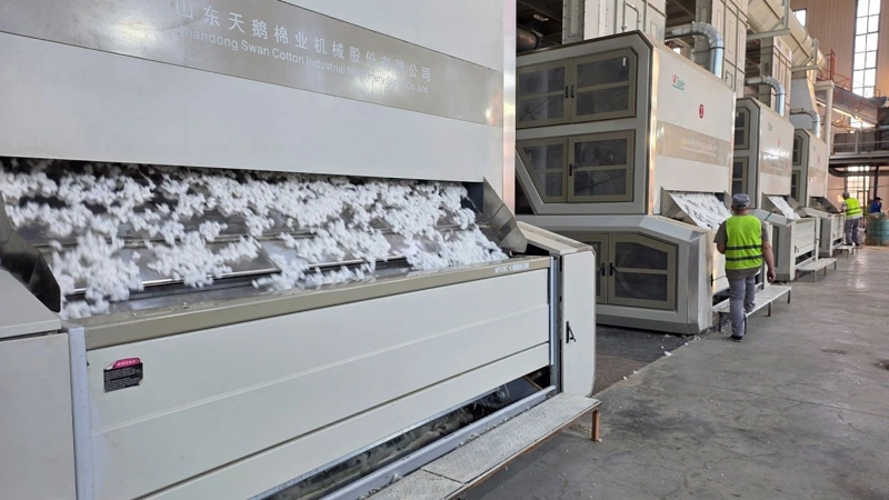 Крупнейший в Центральной Азии хлопководческий комплекс построят в Туркестанской области