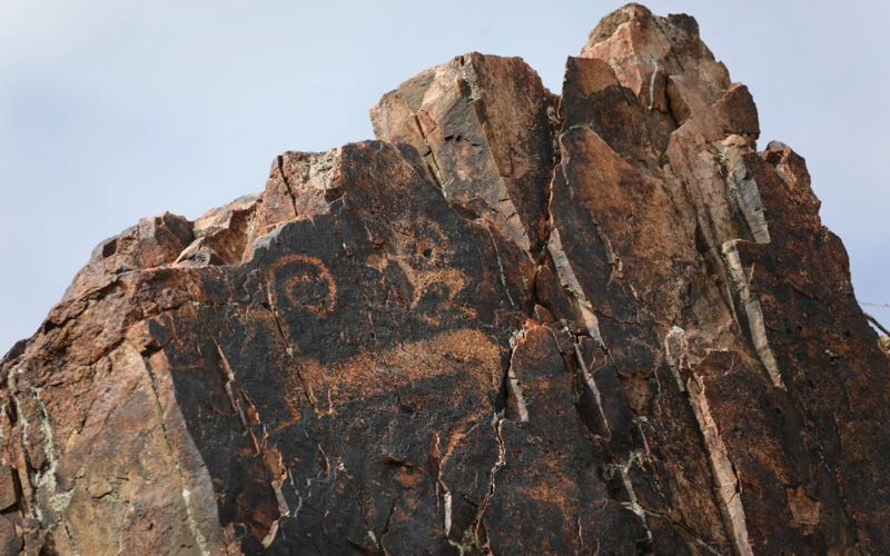 Қазақстанда 11 жаңа петроглиф табылды