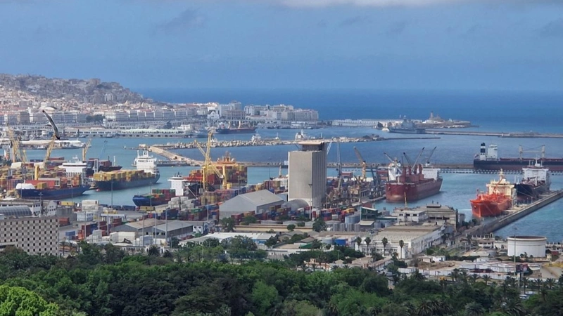 Қазақстан Алжирге 390 мың тонна бидай экспорттады