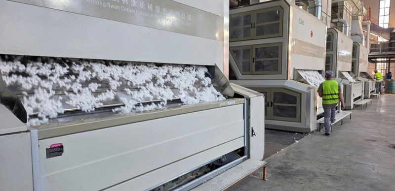 Түркістан облысында мақта өсіруден бастап киім дайындауға дейінгі ауқымды кластер құрылады