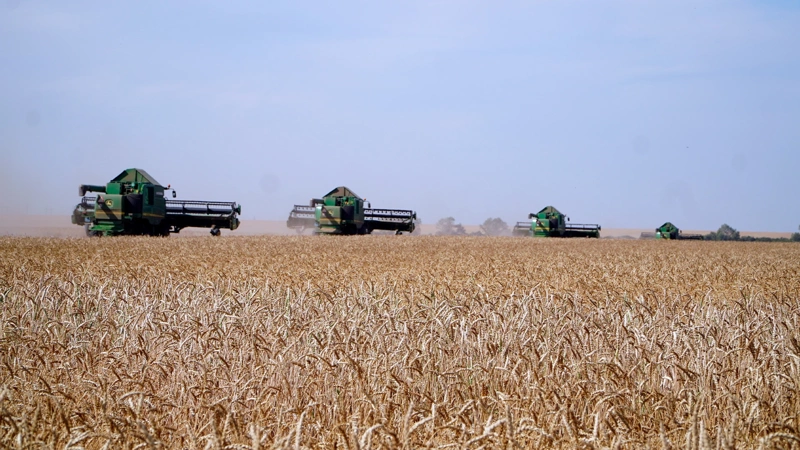 Назван регион-лидер Казахстана по валовому сбору зерновых