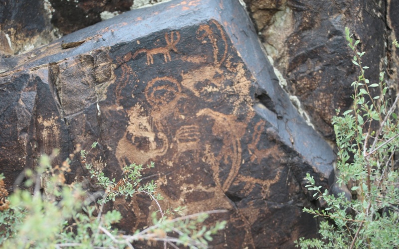 Десятки новых археологических объектов обнаружены в Казахстане