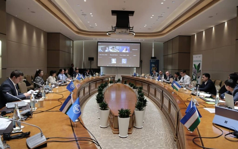 FAO and Uzbekistan strengthen cooperation in combating forest and land degradation 