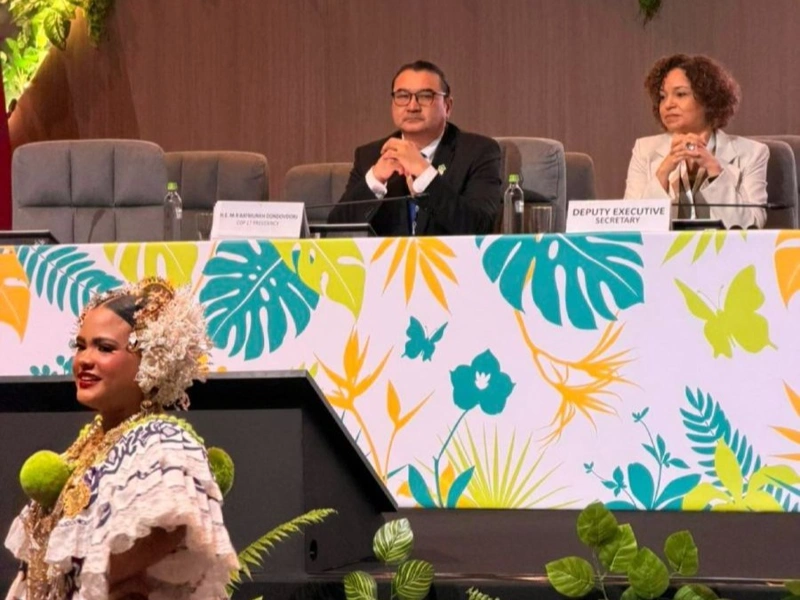 Mongolia Signals Readiness to Contribute to Global Fight Against Desertification