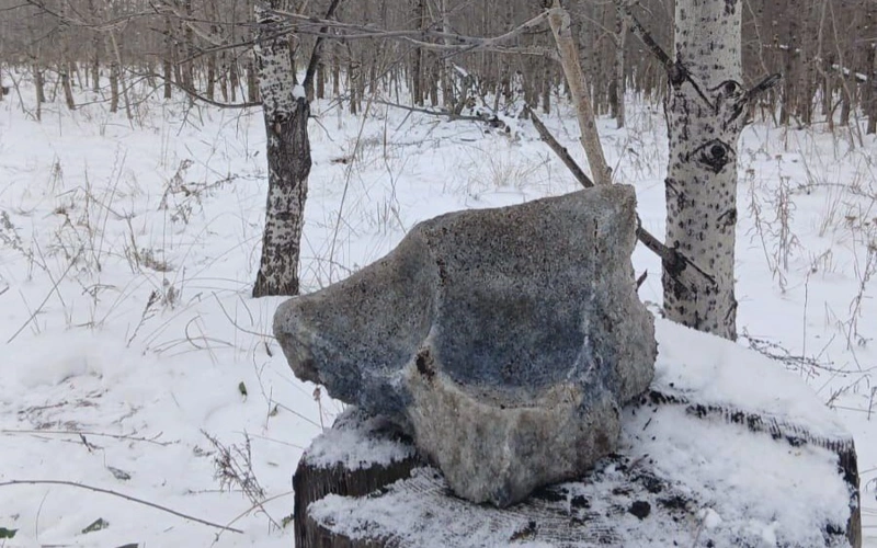 «Ертіс орманында» жабайы жануарларға қысқы азық орындарын ұйымдастыру басталды