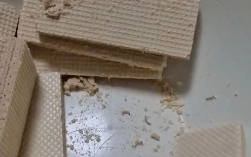 Червей обнаружили в вафлях в школе Костаная