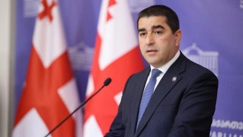 Грузия потребовала извинений от ЕС за ложные заявления о «химоружии»