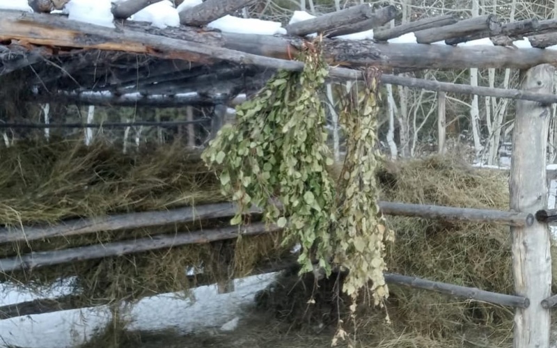 «Ертіс орманында» жабайы жануарларға қысқы азық орындарын ұйымдастыру басталды