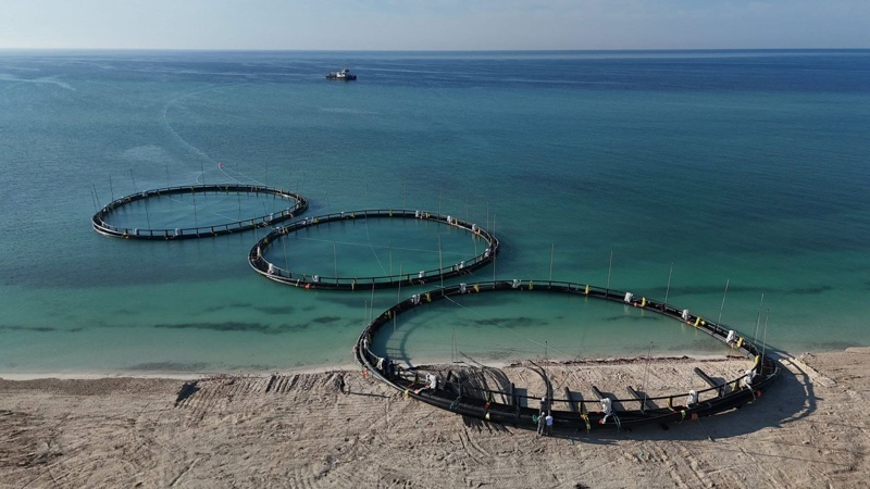 Мангистауская область усиливает работу по привлечению инвесторов и реализации проектов