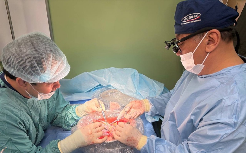 Deceased donor saves lives of four in Kazakhstan