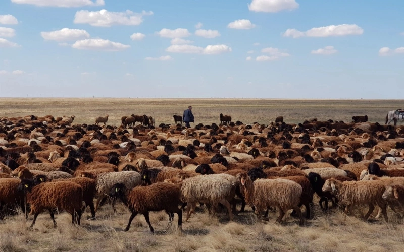 Ulytau region finances 100 projects worth 700 mln tenge 