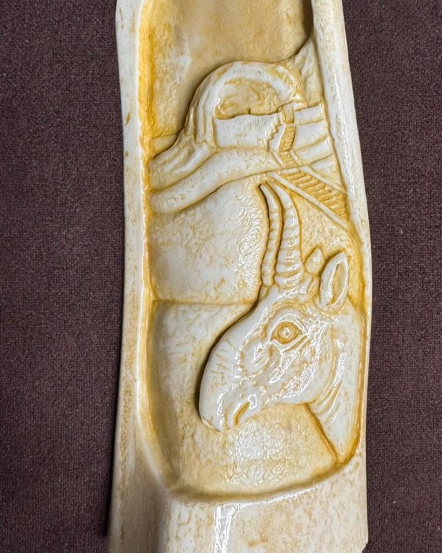 сүйек ақбөкен