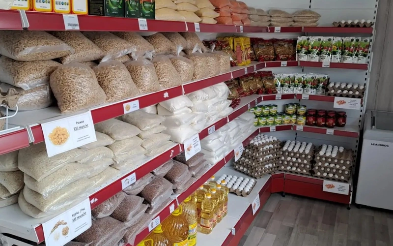 Социально значимые продукты: что Казахстан завозит из-за рубежа