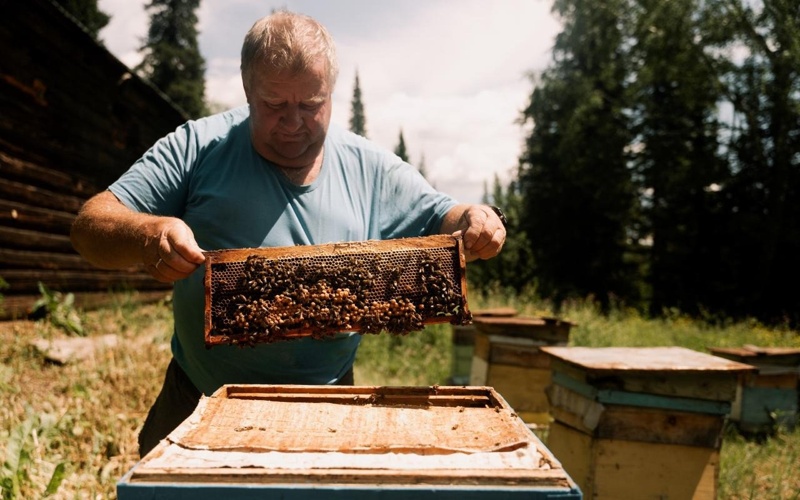 Коробиха бал