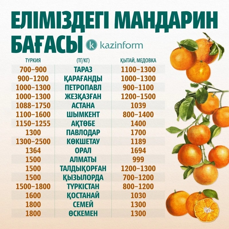 инфографика