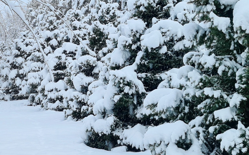 Kazakhstan weather forecast for Jan 7