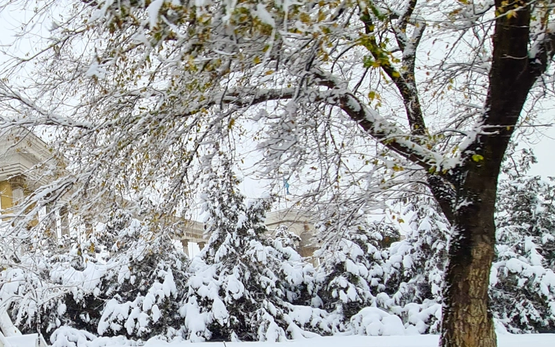 погода, снег, қар, ауа райы