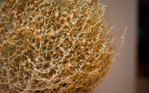 Felt as cultural memory: Aruhan’s exhibition connects Kazakh heritage to contemporary art Aruhan