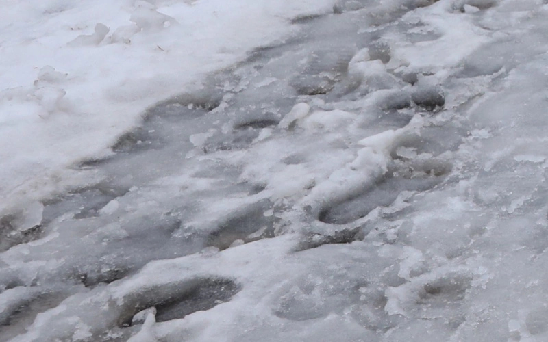 погода, снег, ауа райы, дождь, потепление, қар, жанбыр, гололед, снег расстаял