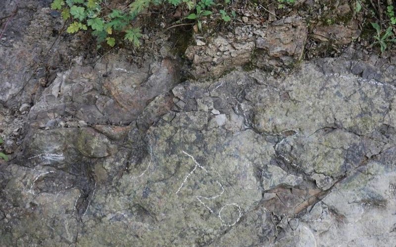 Следы динозавров возрастом около 200 млн лет обнаружены в Китае