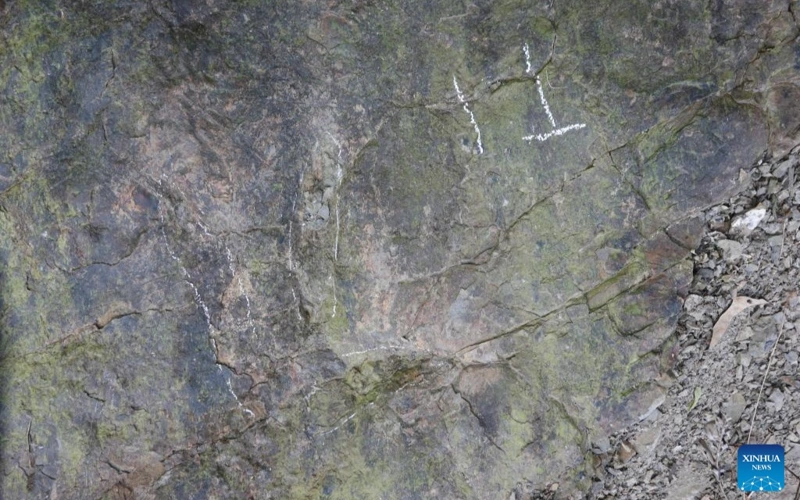 Ancient Dinosaur Footprints Unearthed in Sichuan, China