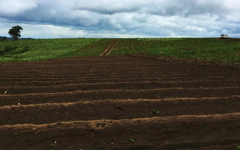 Kazakh Government to revise cropping structure amid projected water shortage in country's south