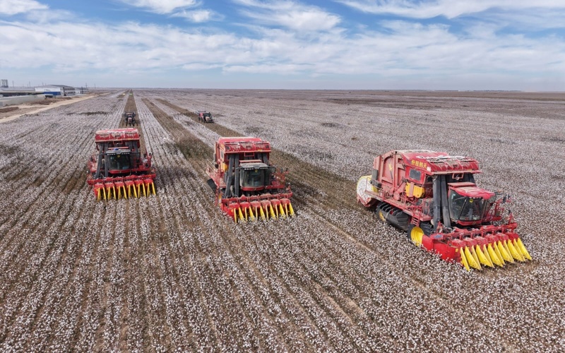 Түркістан облысының бағыттары: инвестиция, өндіріс, терең өңдеу мақта