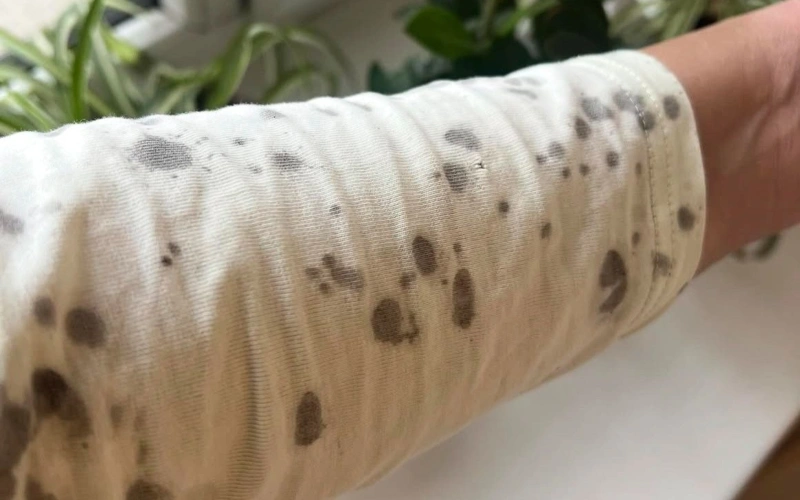 threads/ ainur_argancheyeva