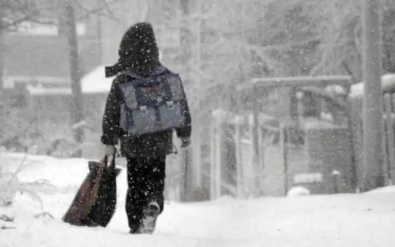 Қостанай облысында аязға байланысты 1-сынып оқушылары қашықтықтан оқиды