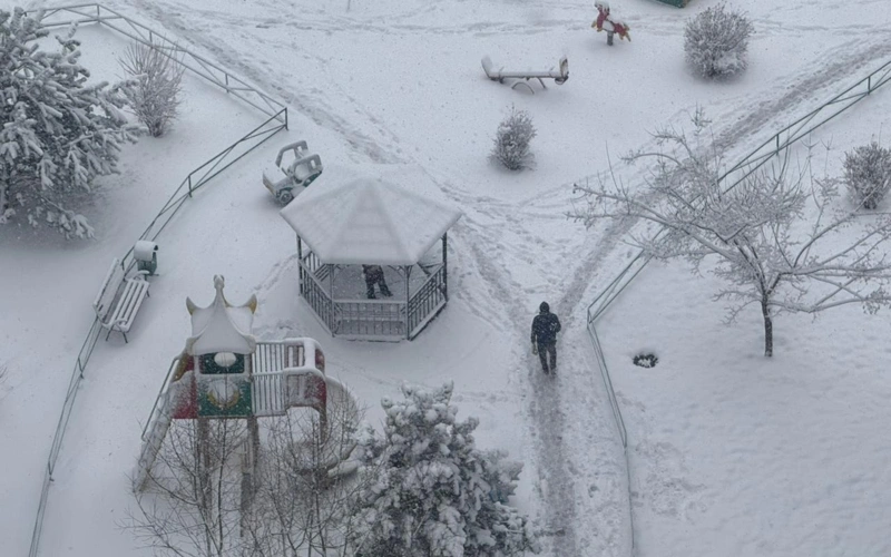 Алматыға қар жауды