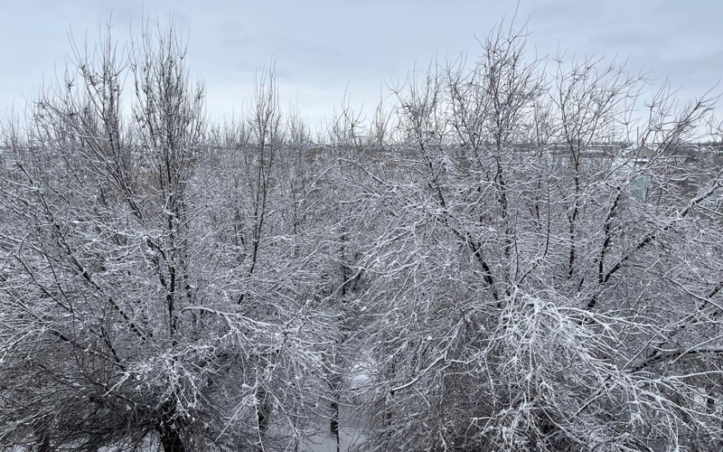 Тараз снег зима