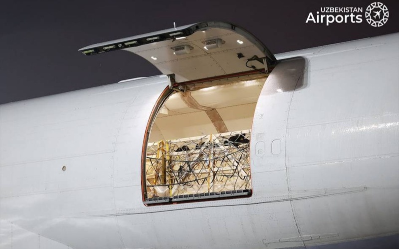 Tashkent receives unique air shipment of premium cattle breeds Tashkent, air shipment, premium cattle breeds, Uzbekistan