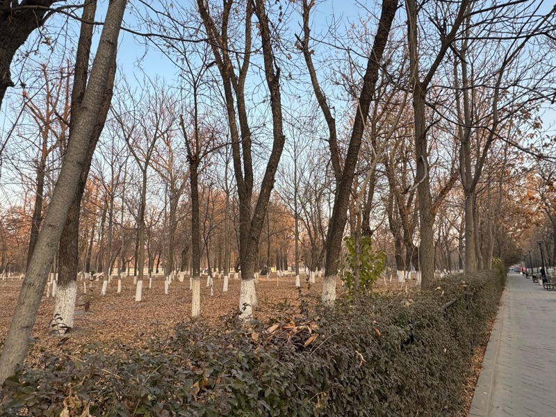 парк в Шымкенте а