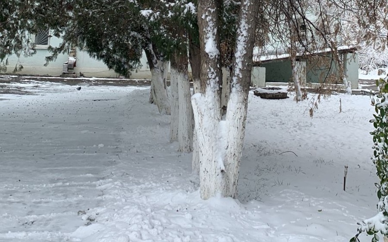 Тараз снег зима