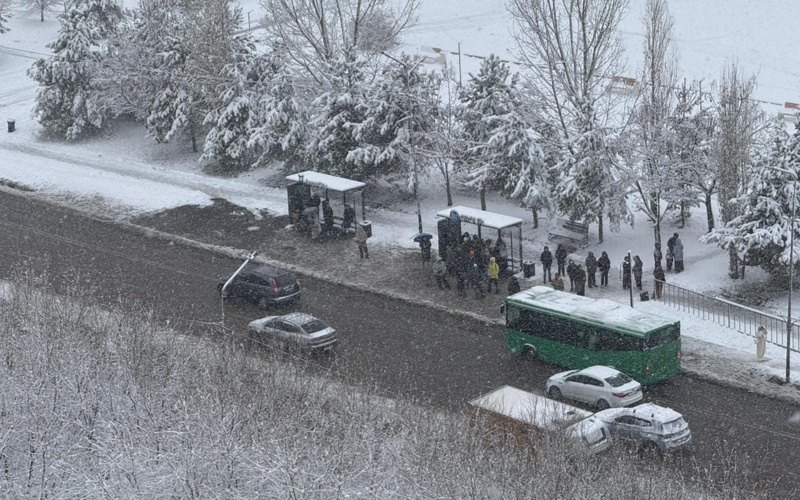Почти половина месячной нормы снега выпала в Алматы за ночь
