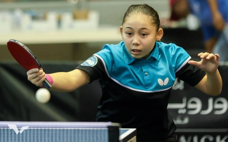 стол тенниси