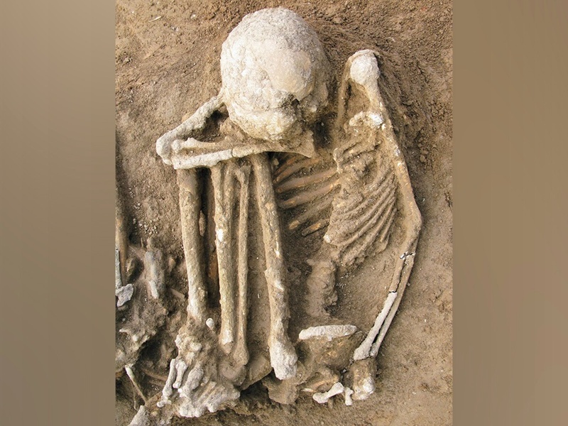 2025 jyly álemdik arheologııa ashqan eń mańyzdy 10 jańalyq 2025 jyly álemdik arheologııa ashqan eń mańyzdy 10 jańalyq