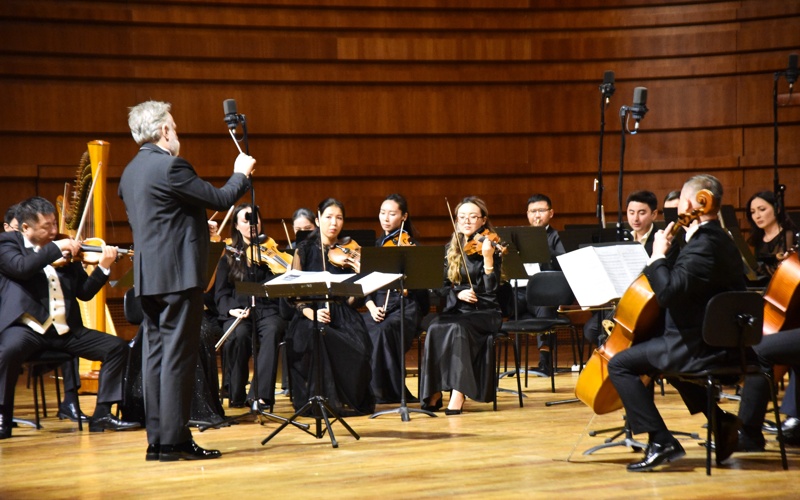 скрипка скрипка