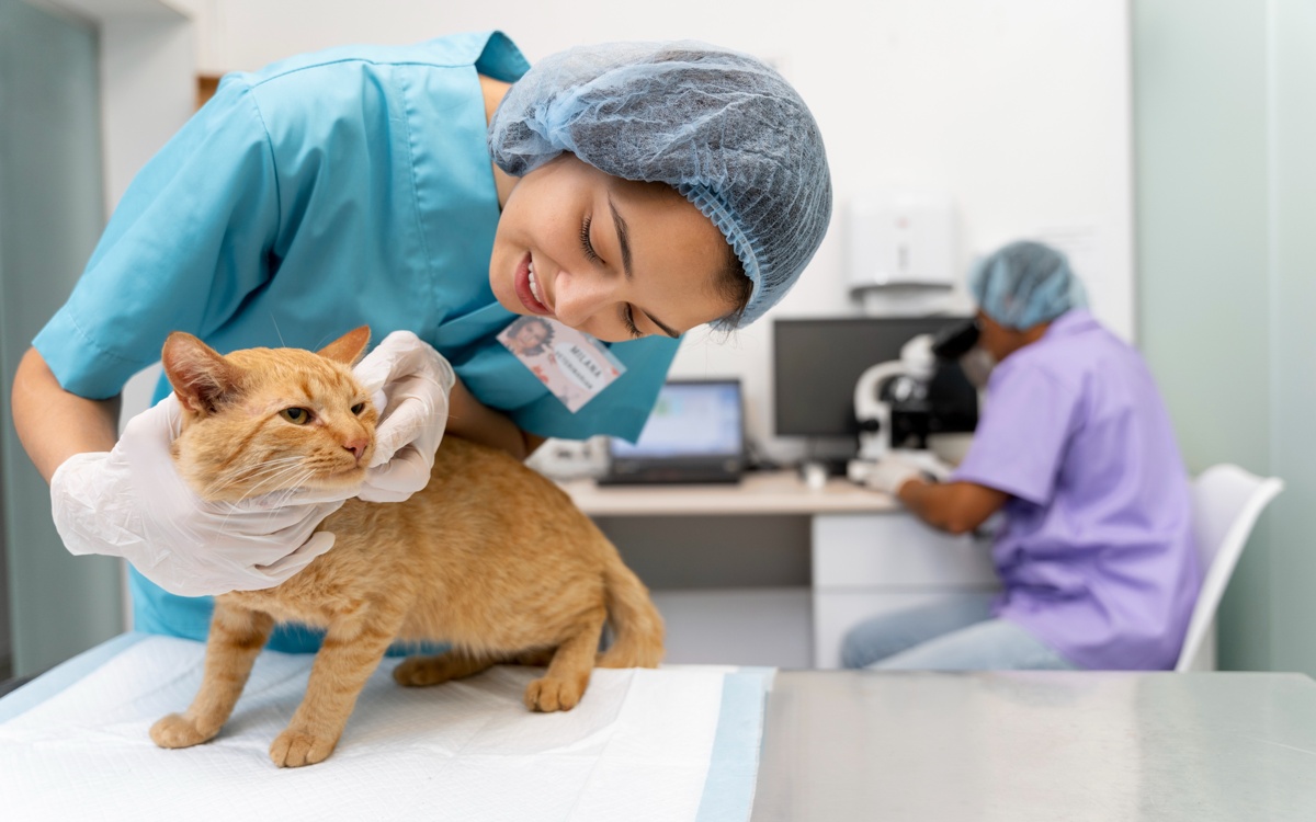 Ветеринарларға ғылыми дәрежесі үшін қосымша ақы төленбек