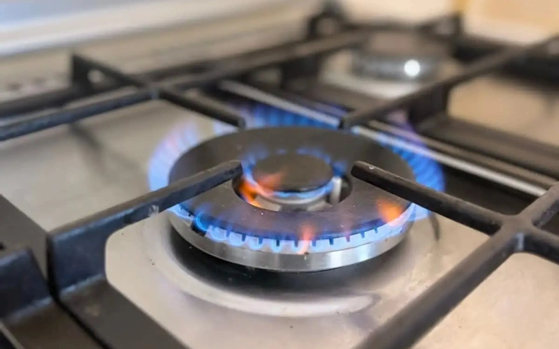 Газ подведут к 72% населенных пунктов области Жетысу