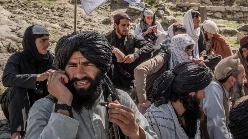 Талибы Талибы