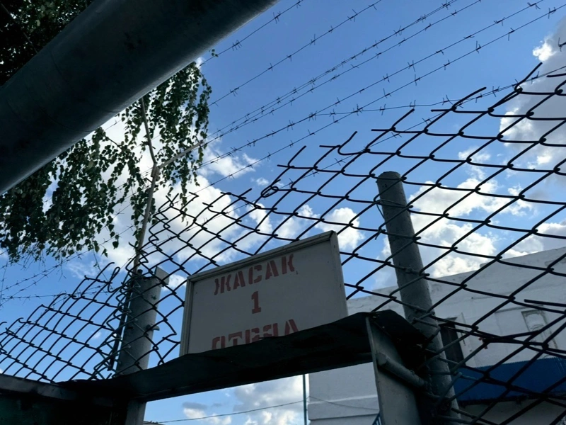 колония