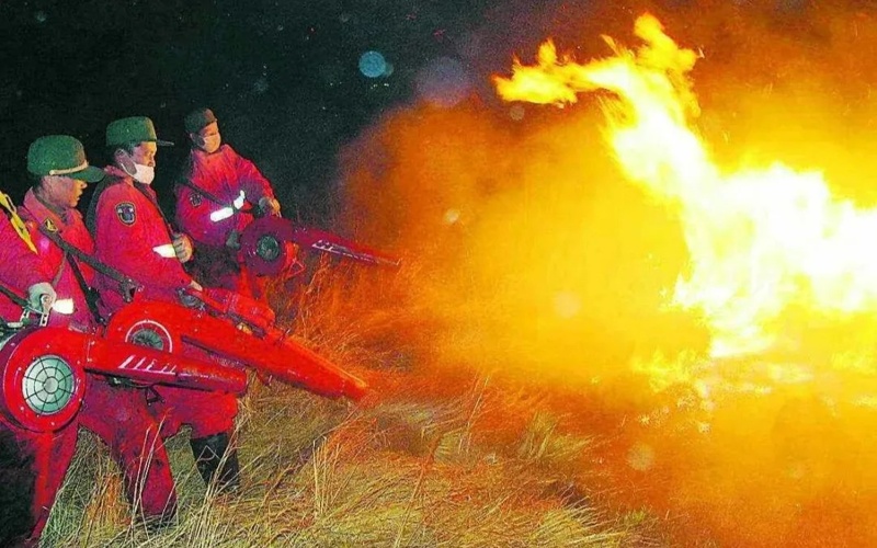 Орман өрті Үлкен Хинган