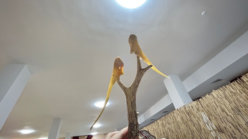 сүйек қолөнер