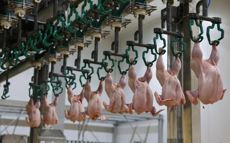 Полиция СКО пресекла незаконный вывоз мяса птицы из села Шаховское