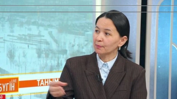 Психолог қарызға кірудің психологиялық себептерін түсіндірді